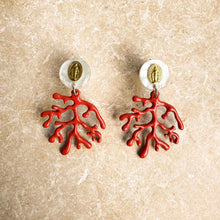 Charger l'image dans la galerie, Boucles Miraculeuse Corail
