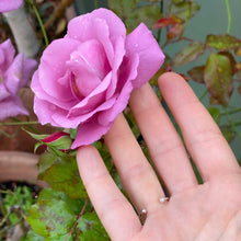 Charger l'image dans la galerie, Bague Trinité agate